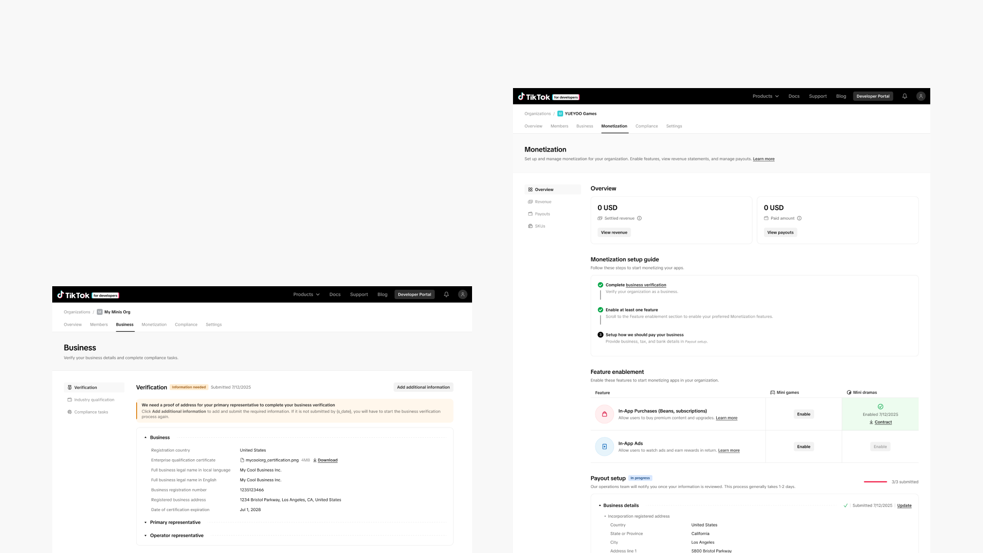 TikTok Open Platform screen 2